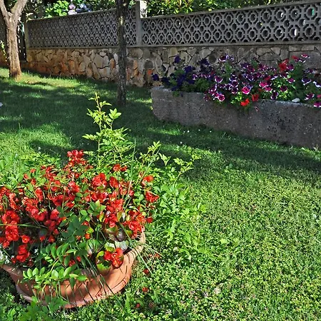 Apartman Maria *