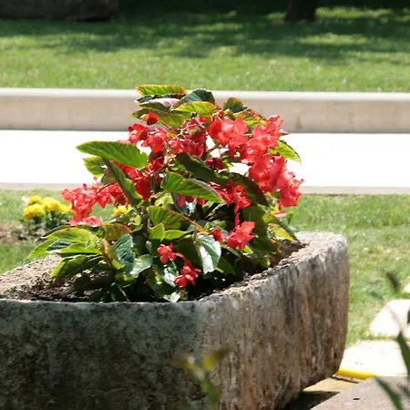 Apartman Maria Porec
